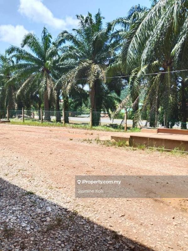 Tanah Pertanian untuk Dijual di Taman Gua Musang, Gua Musang oleh Jasmine Koh - iProperty.com.my