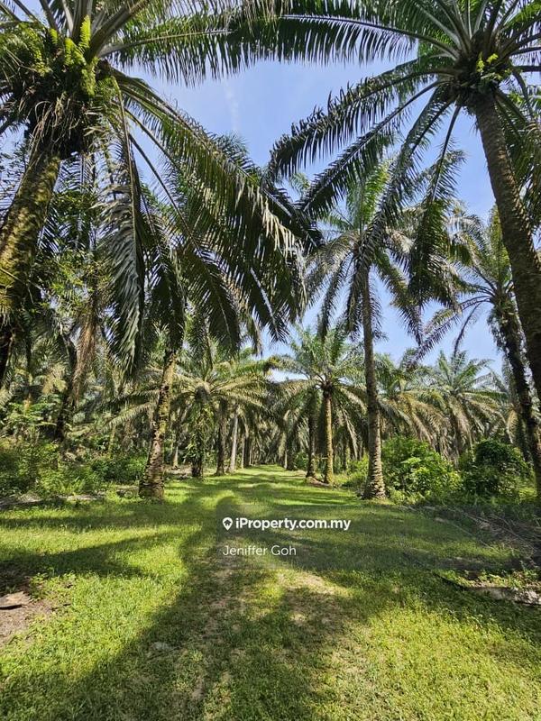 Industrial Land for Sale in v1wto, Tasek Gelugor by Jeniffer Goh - iProperty.com.my