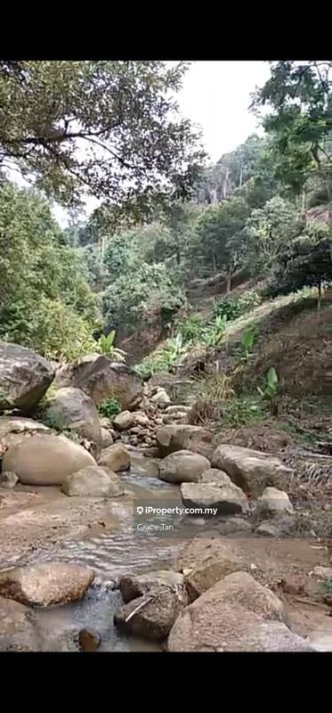 Tanah Pertanian untuk Dijual di Bentong Sang Lee ,Raub, Raub oleh Grace Tan - iProperty.com.my