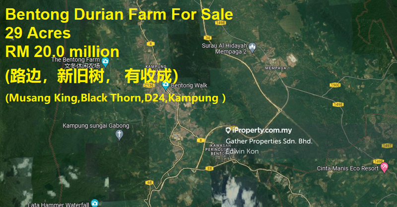 Agricultural Land for Sale in Bentong, Bentong by Edwin Kon - iProperty.com.my