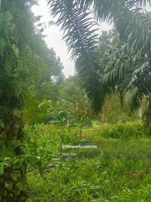 Agricultural Land for Sale in Paloh, Kluang by Kelly Yee - iProperty.com.my