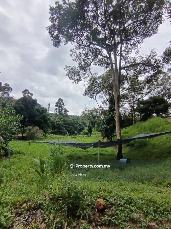 Agricultural Land for Sale in MANTIN, Seremban by Leo Hon - iProperty.com.my