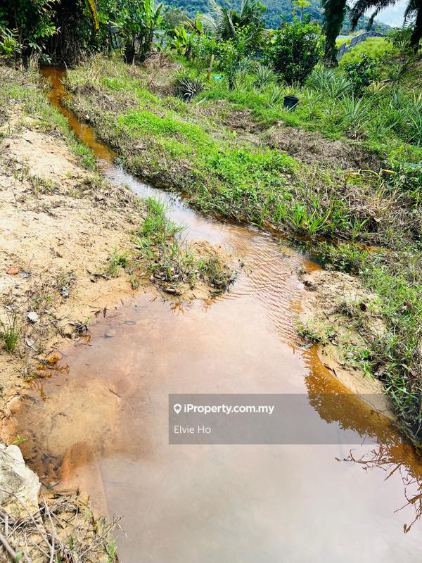 Agricultural Land untuk Dijual di Broga, Lenggeng oleh Elvie Ho - iProperty.com.my