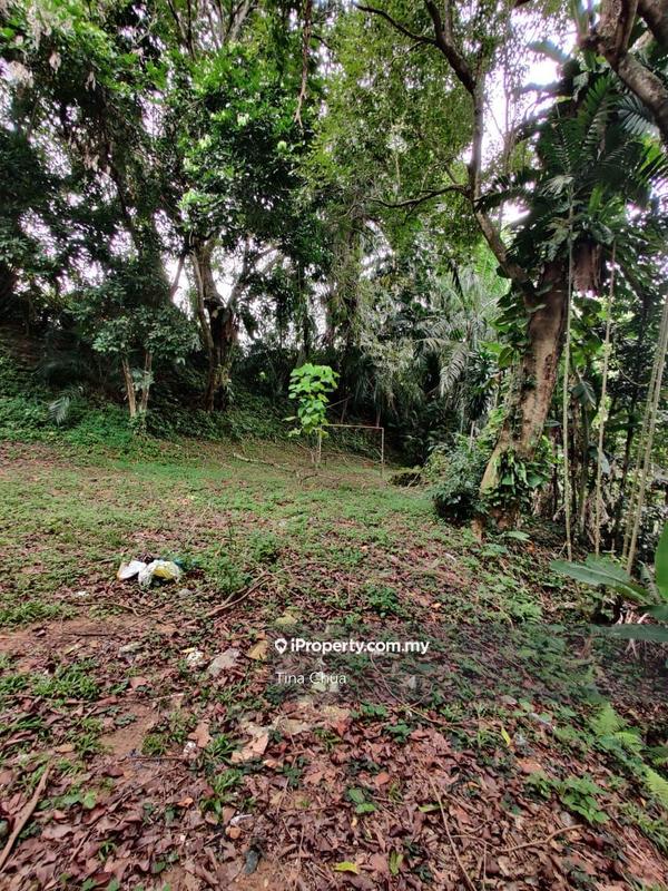 Tanah Banglo untuk Dijual di Bukit Tunku, Bukit Tunku (Kenny Hills) oleh Tina Chua - iProperty.com.my