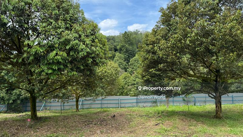 Tanah Pertanian untuk Dijual di Sg Ruan, Raub oleh Damon Wong - iProperty.com.my