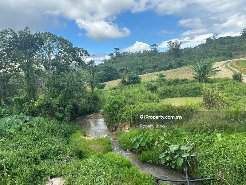 Tanah Pertanian untuk Dijual di Karak, Pahang oleh Ronald Khoo - iProperty.com.my