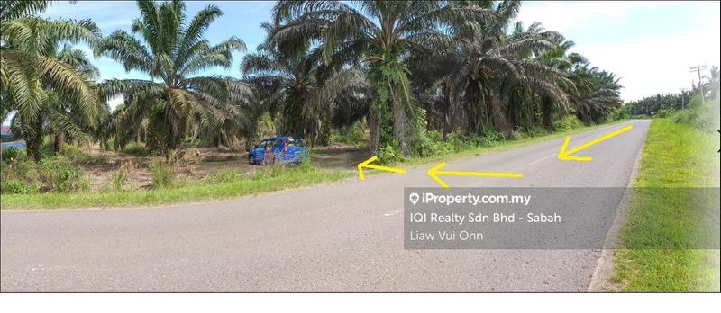 Agricultural Land for Sale in Tawau, Sabah by Liaw Vui Onn - iProperty.com.my