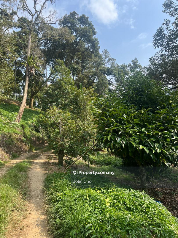 Agricultural Land untuk Dijual di Raub, Pahang, Raub oleh Jolin Choi - iProperty.com.my