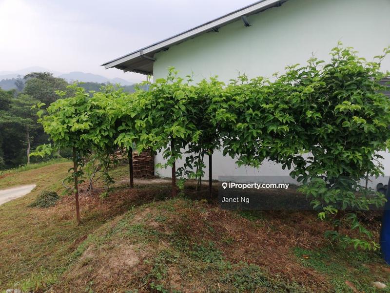Agricultural Land for Sale in Taman Ampang Pecah, Kuala Kubu Bharu by Janet Ng - iProperty.com.my