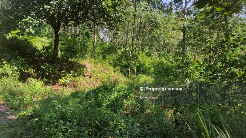 Tanah Pertanian untuk Dijual di hulu rening, Batang Kali oleh Iz Hakim - iProperty.com.my
