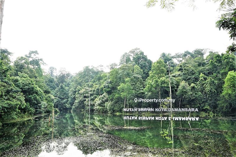 Rumah Berangkai 2 Tingkat untuk Dijual di Seksyen 9, Kota Damansara oleh Bryant Be - iProperty.com.my