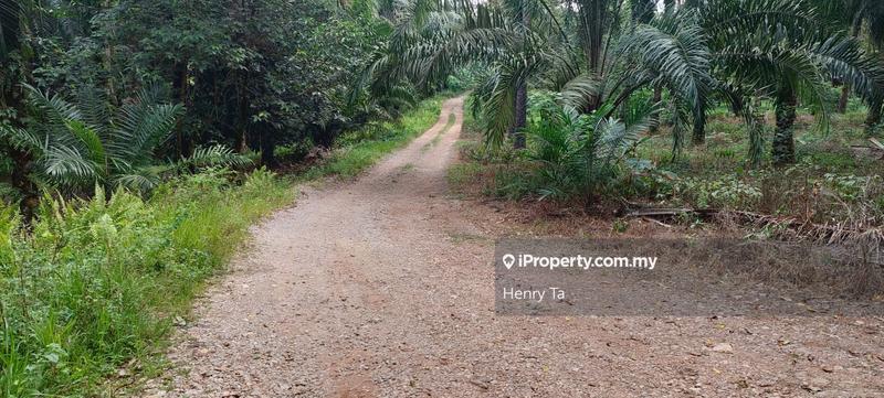 Tanah Pertanian untuk Dijual di Taman Dengkil, Dengkil oleh Henry Ta - iProperty.com.my