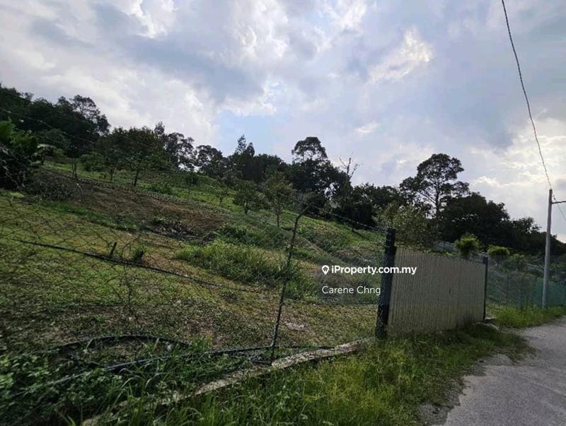 Agricultural Land for Sale in Hulu Langat, Selangor by Carene Chng - iProperty.com.my