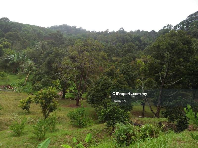 For Sale - Gurun, Kedah