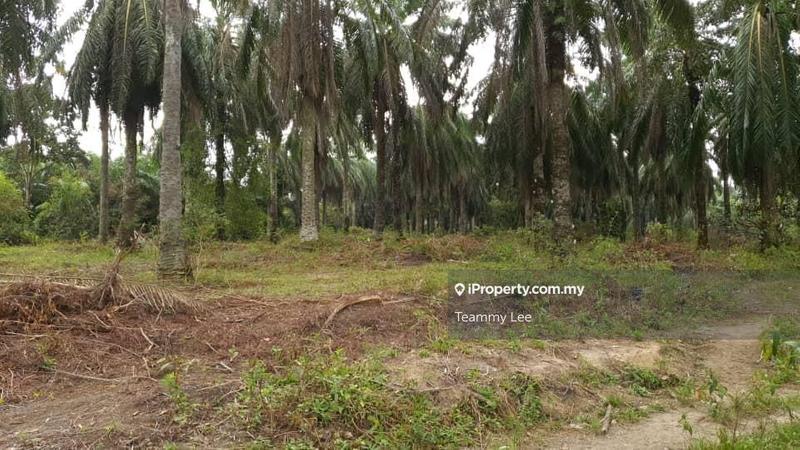 For Sale - 4.365 Acres Agricultural Land Sungai Tangkas Kajang,Jalan Reko UKM