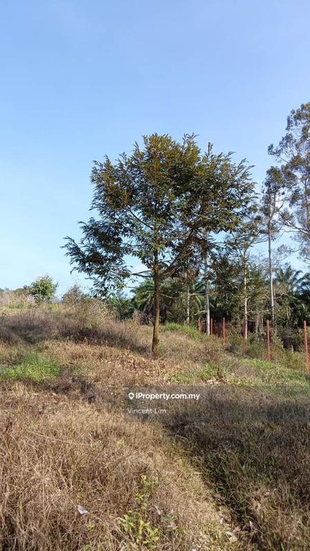 Tanah Pertanian untuk Dijual di Simpang Pertang, Negeri Sembilan oleh Vincent Lim - iProperty.com.my