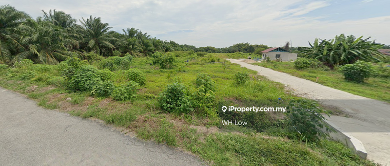 Agricultural Land for Sale in Pulau Indah, Klang by WH Low - iProperty.com.my