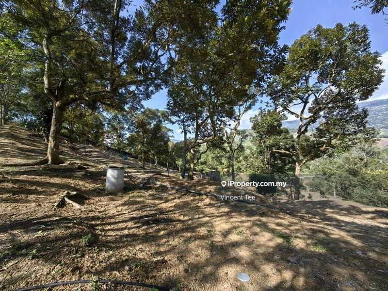 Agricultural Land untuk Dijual di Cheroh, Raub oleh Vincent Tee - iProperty.com.my