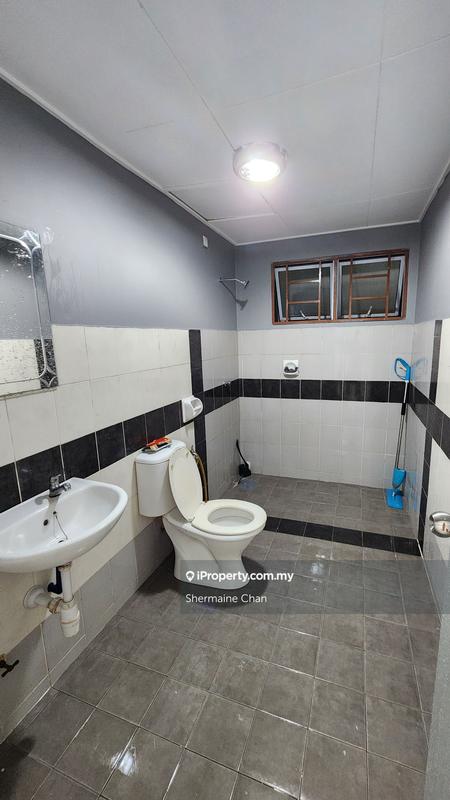 For Sale - Koi Kinrara