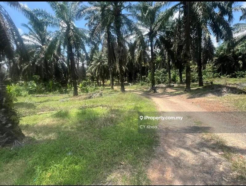 Agricultural Land for Sale in Johor Kluang Taman Puteri 1168 acres Mix deverlope, Kluang by CY Khoo - iProperty.com.my