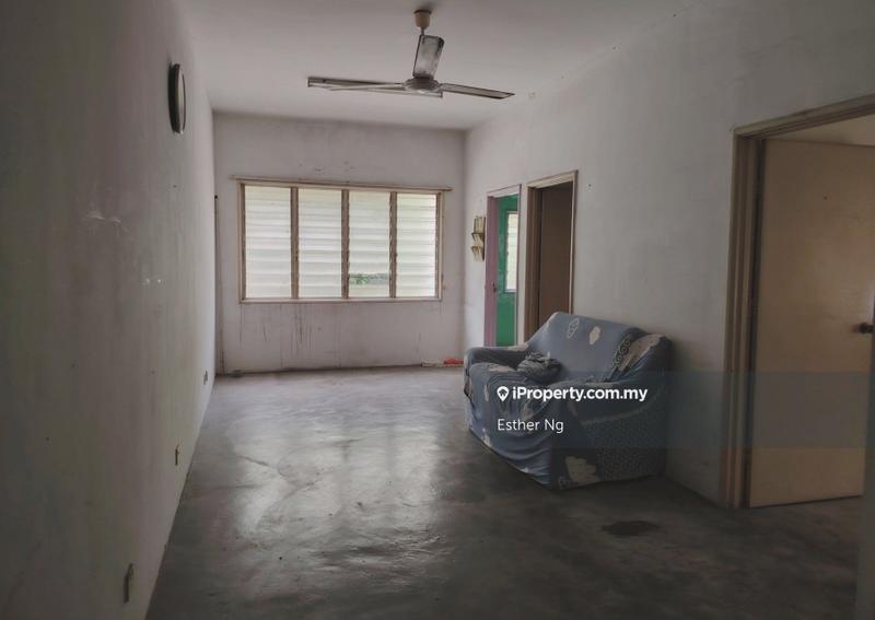 For Sale - Sri Begonia