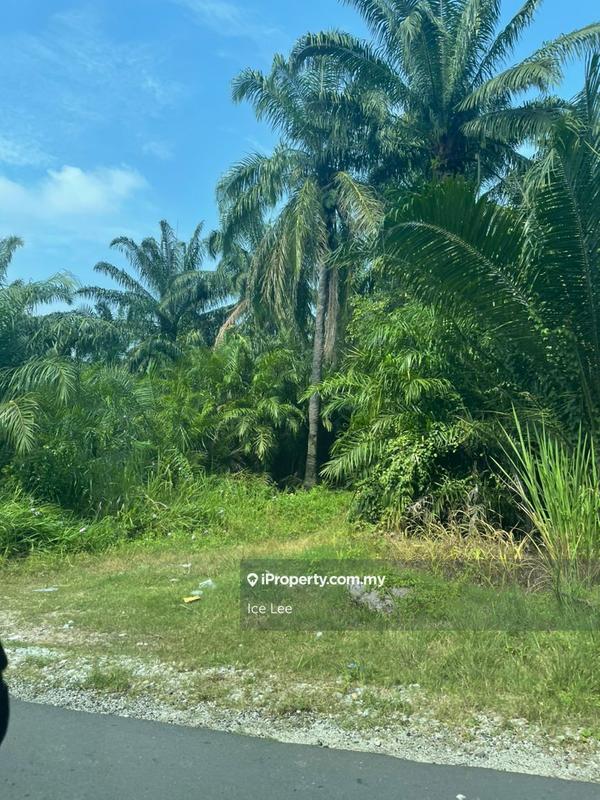 Agricultural Land for Rent in Kampung Jenjarom, Jenjarom by Ice Lee - iProperty.com.my