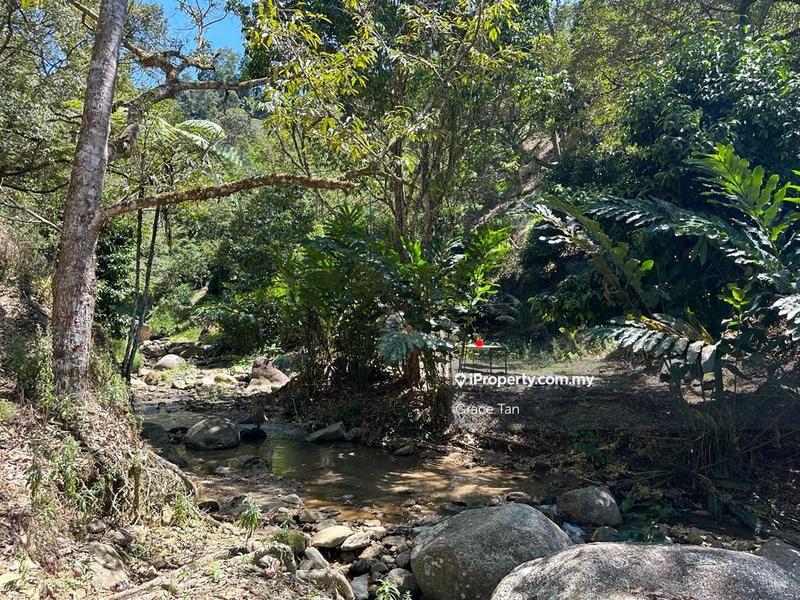 Tanah Pertanian untuk Dijual di Bentong Sang Lee ,Raub, Raub oleh Grace Tan - iProperty.com.my