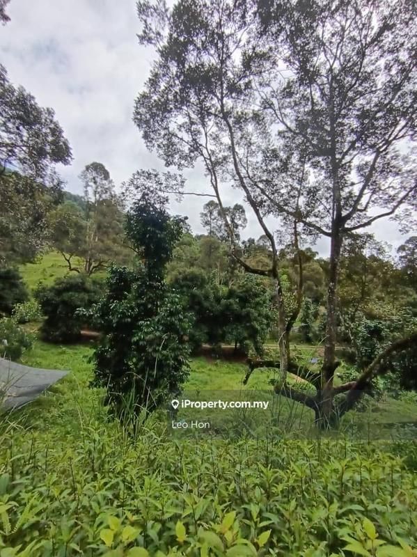 Agricultural Land for Sale in MANTIN, Seremban by Leo Hon - iProperty.com.my