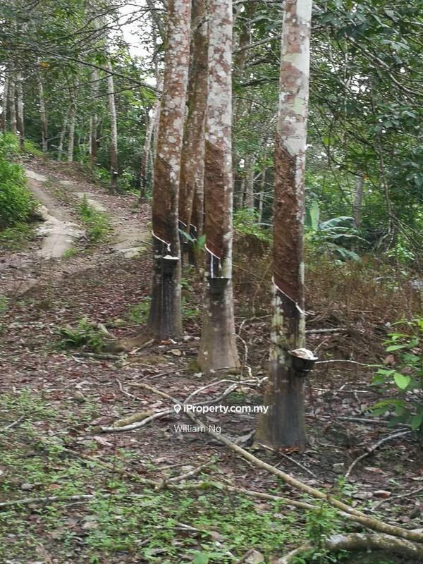 Tanah Pertanian untuk Dijual di Taman Jelebu, Kuala Klawang oleh William Ng - iProperty.com.my