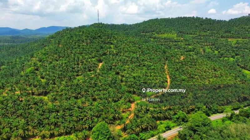Agricultural Land for Sale in Kuala Pilah, Negeri Sembilan by Iz Hakim - iProperty.com.my