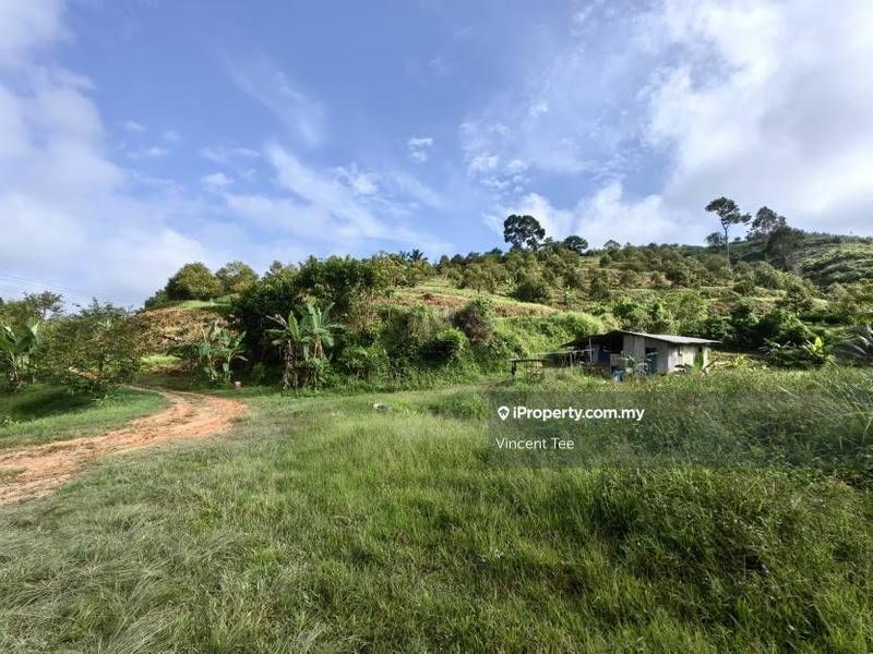 Agricultural Land for Sale in Kampung Sega, Sega by Vincent Tee - iProperty.com.my
