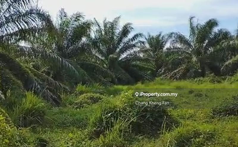 Tanah Pertanian untuk Dijual di Batu 15, Jalan Kapar, Jeram oleh Chang Kheng Fatt - iProperty.com.my