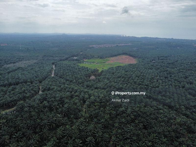 Agricultural Land for Sale in 500 Acre Agricultural Land Zoning Industry, Melaka City by Akmal Zaidi - iProperty.com.my