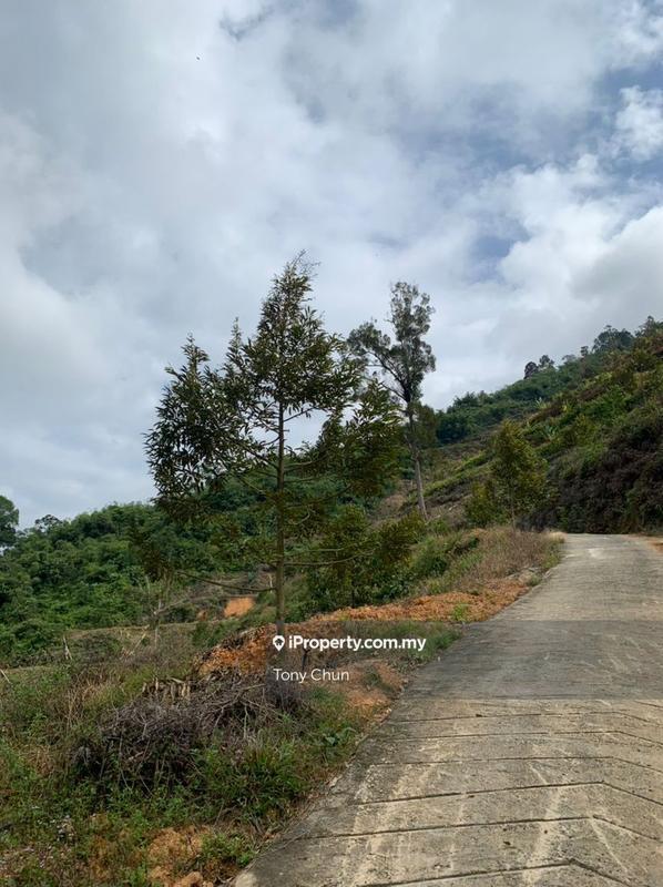 Tanah Pertanian untuk Dijual di Raub, Pahang oleh Tony Chun - iProperty.com.my