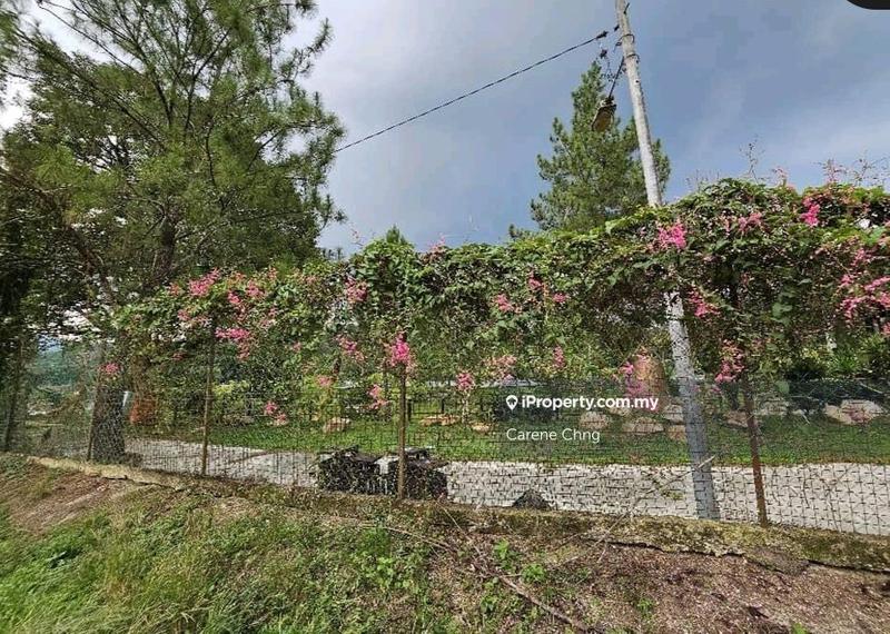 Agricultural Land for Sale in Hulu Langat, Selangor by Carene Chng - iProperty.com.my