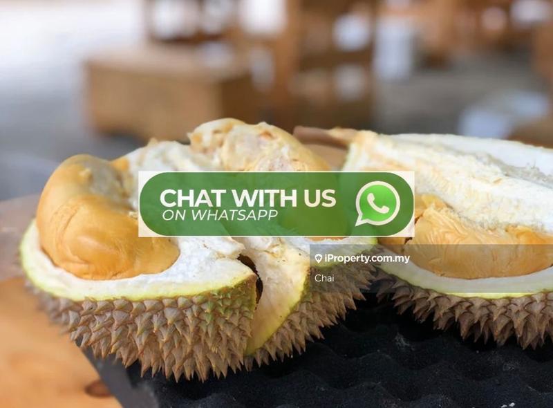 Agricultural Land for Sale in Sabai, Karak by Chai - iProperty.com.my