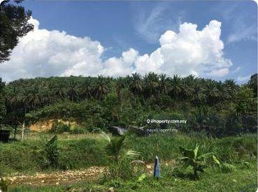 Tanah Pertanian untuk Dijual di Bandar Utama Batang Kali, Batang Kali oleh hayati.iagent.my - iProperty.com.my