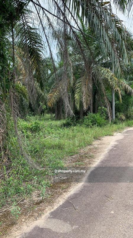 Agricultural Land for Sale in Kuala Selangor, Sungai Buloh. Bandar Tasik Puteri, Ijok by Mr Chan - iProperty.com.my