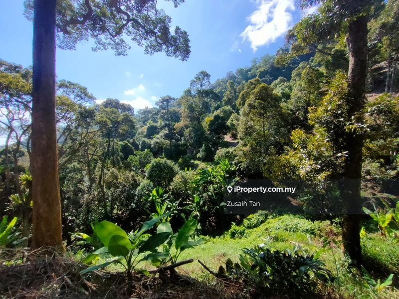 Agricultural Land for Sale in Gertak Sanggul, Bayan Lepas by Zusain Tan - iProperty.com.my