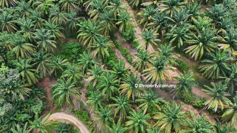 Agricultural Land for Sale in Kuala Kubu Baru, Selangor by Iz Hakim - iProperty.com.my