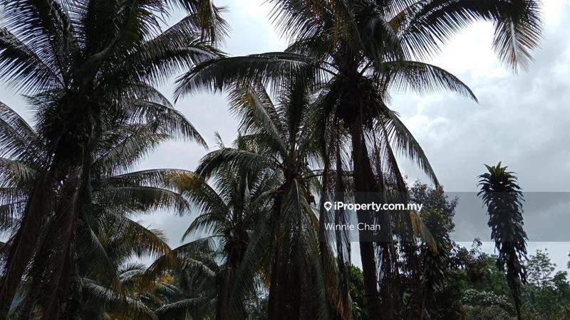 Agricultural Land for Sale in Tapah Perak 550 Acres Freehold Agriculture Land, Tapah by Winnie Chan - iProperty.com.my