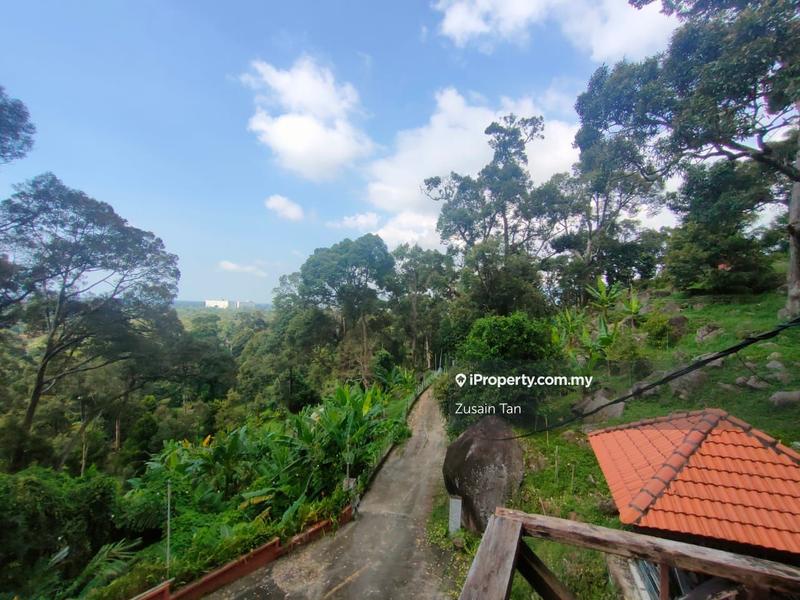 Agricultural Land for Sale in Pulau Betong, Balik Pulau by Zusain Tan - iProperty.com.my