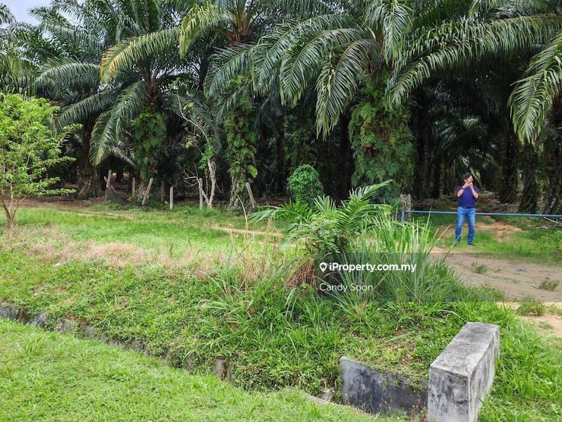 Tanah Pertanian untuk Dijual di Taman Rembau Utama, Rembau oleh Candy Soon - iProperty.com.my