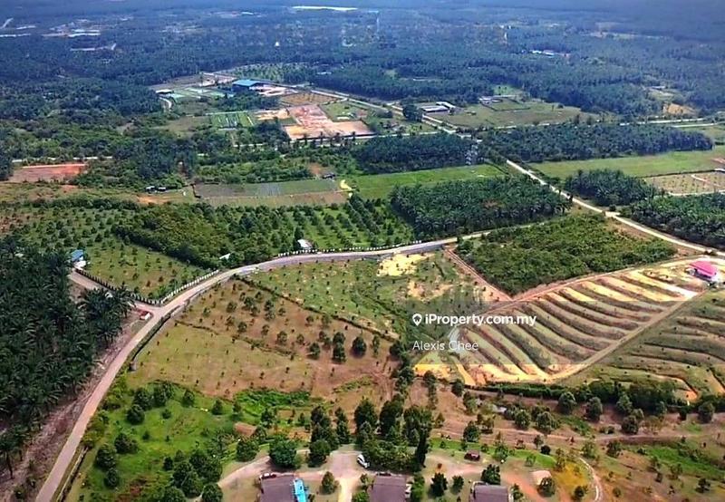 Agricultural Land for Sale in Gopeng, Perak by Alexis Chee - iProperty.com.my