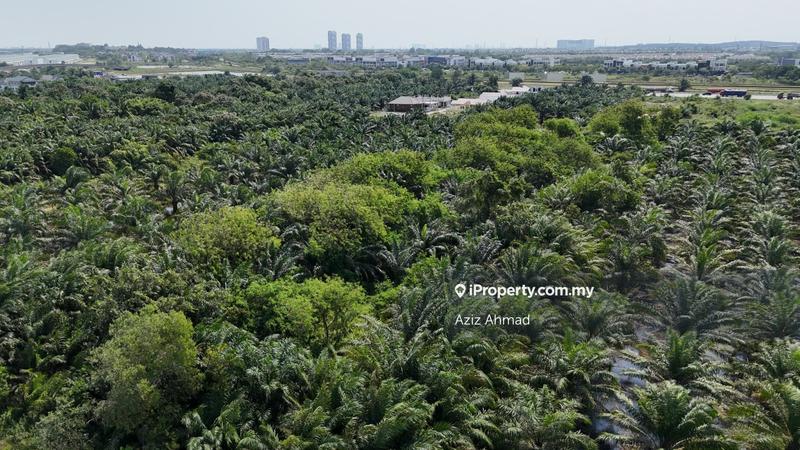 Agricultural Land for Sale in Kampung Jenjarom, Jenjarom by Aziz Ahmad - iProperty.com.my
