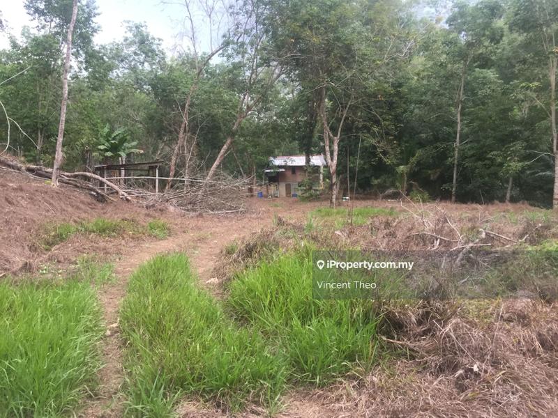 Agricultural Land for Sale in Kampung Tempoyang, Kuala Lipis by Vincent Theo - iProperty.com.my