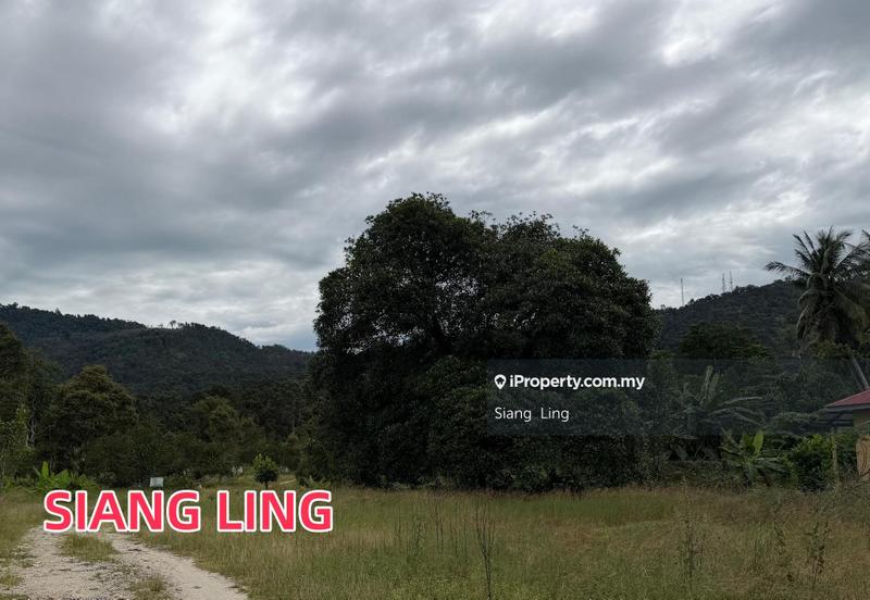 Agricultural Land for Sale in Balik Pulau, Penang by Siang Ling - iProperty.com.my