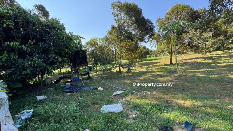 Agricultural Land for Sale in Port Dickson, Negeri Sembilan by David Cheok - iProperty.com.my