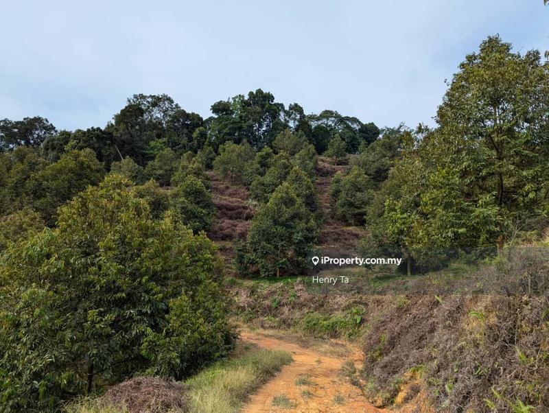 Agricultural Land for Sale in Bandar Baru Kuala Lipis, Kuala Lipis by Henry Ta - iProperty.com.my