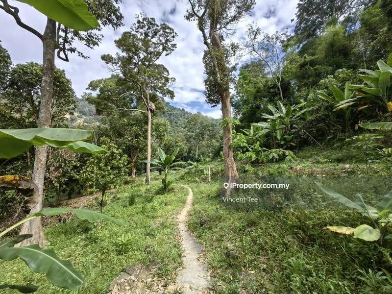 Agricultural Land for Sale in Sungai Nibong, Bayan Lepas by Vincent Tee - iProperty.com.my